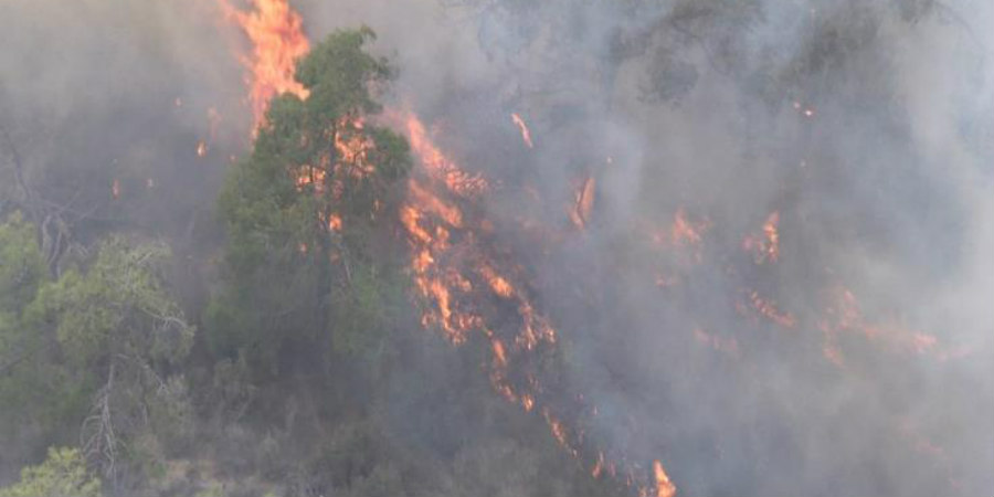 Υπό πλήρη έλεγχο δασική πυρκαγιά στην τοποθεσία «Βούγιες» στην κοινότητα Κόσιης